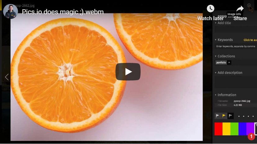 Pics.io video player