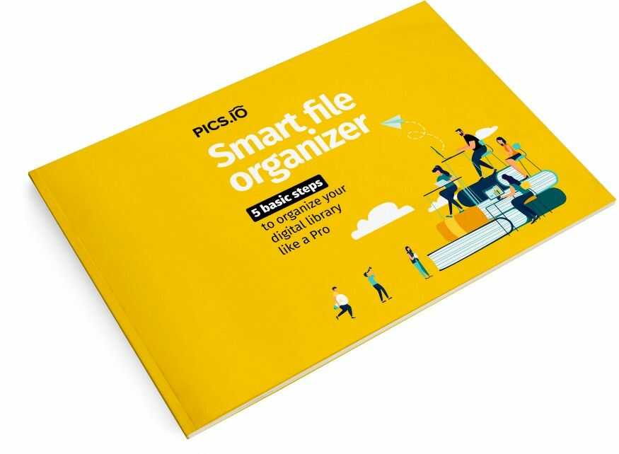 Smart file organizer Pics.io e-book