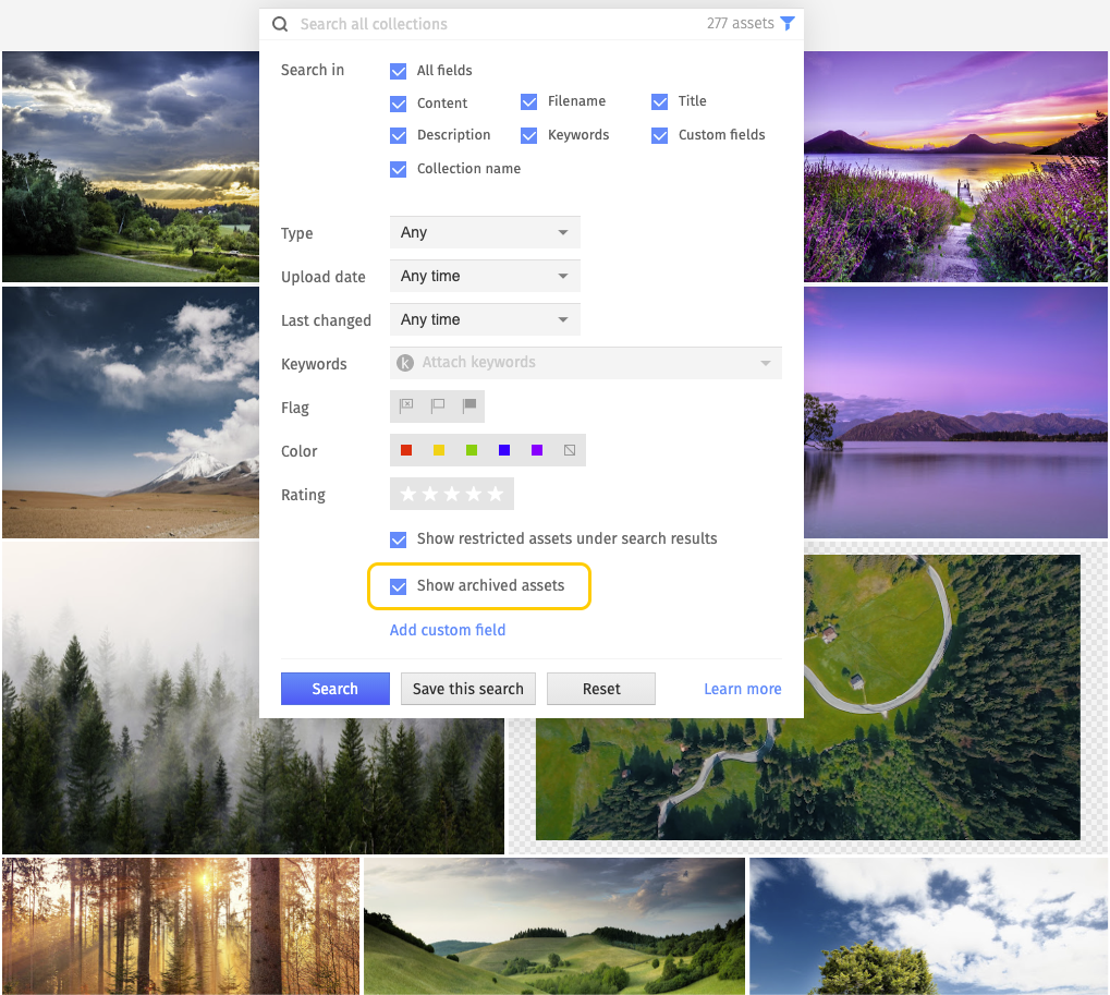 Review your archived assets