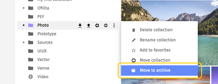 Pics.io archive