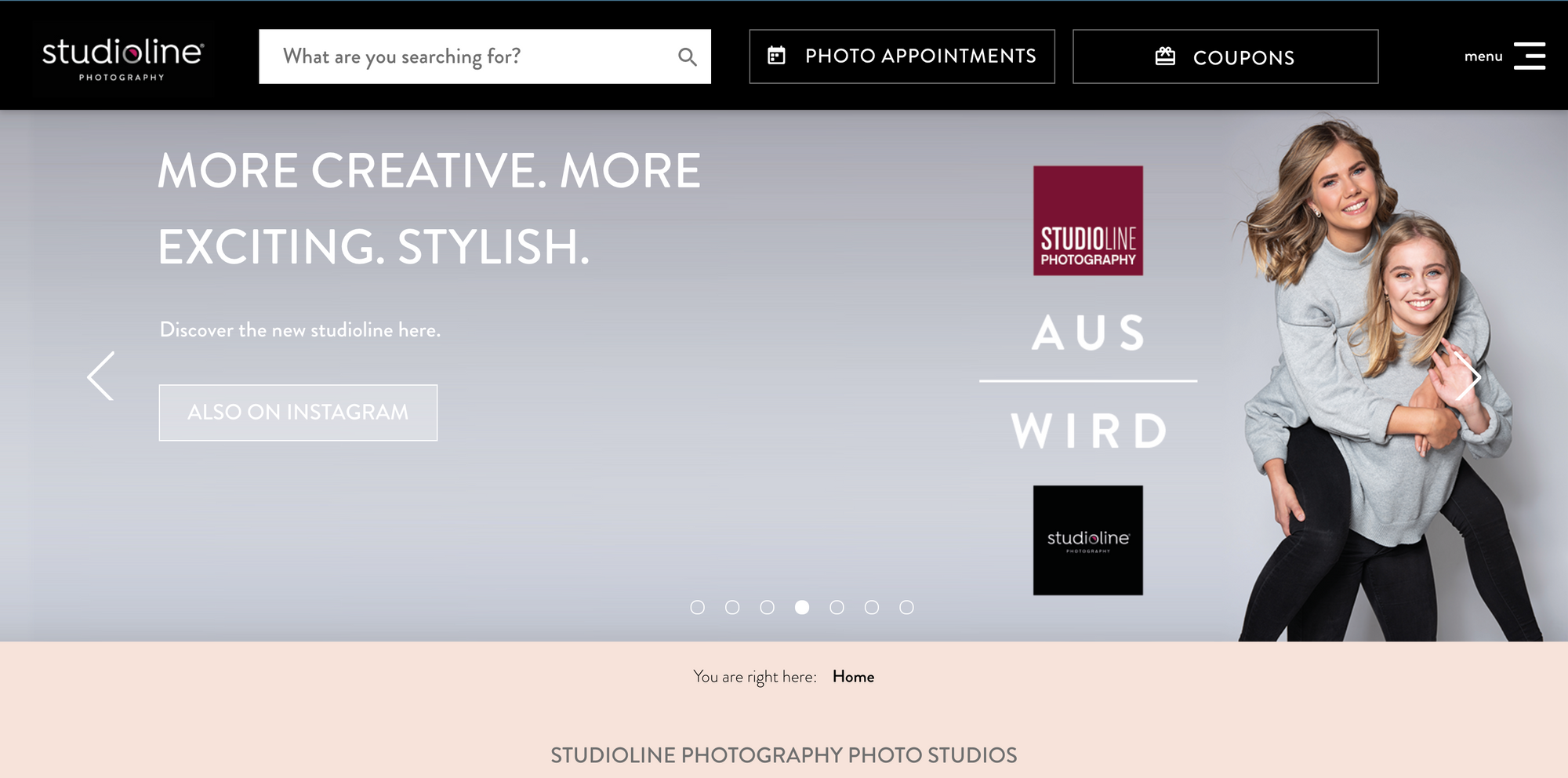 StudioLine Basic interface