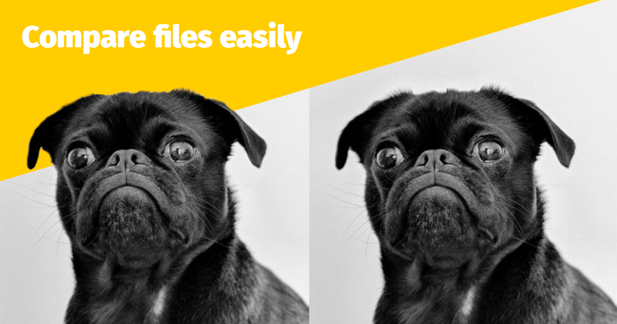 best file comparison software