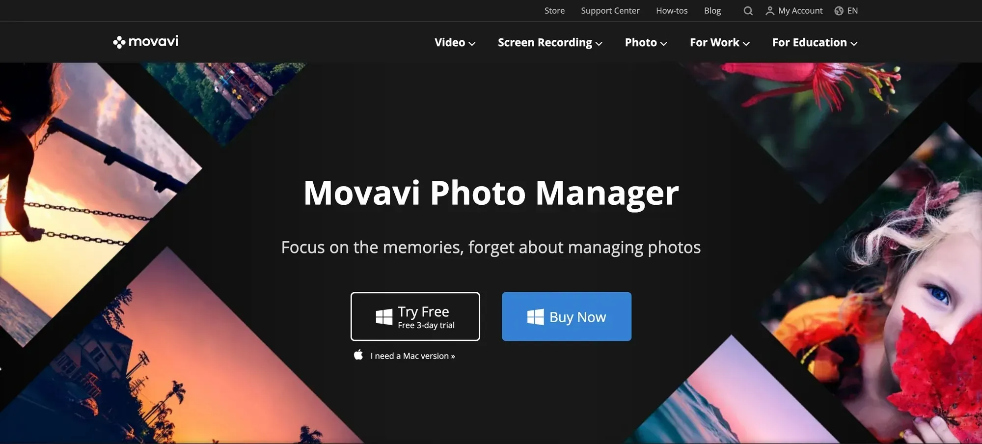 Movavi Photo Manager interface