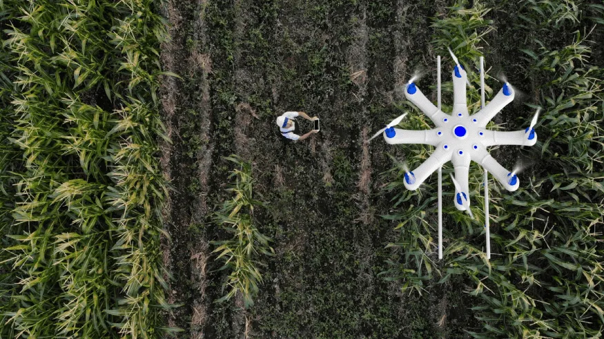 Impressive applications of commercial drones