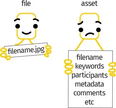 Difference between files and assets