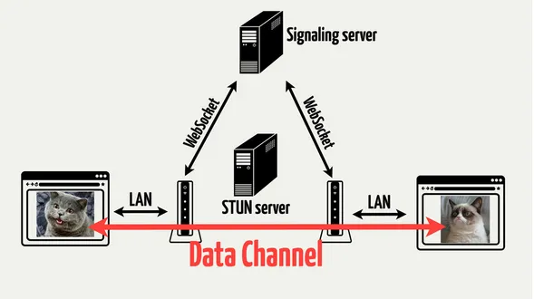 Data Channel