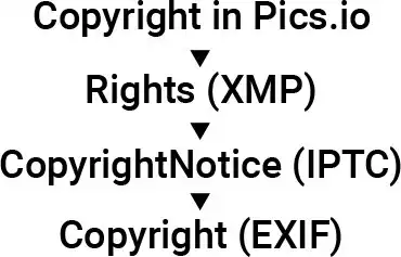 Copyright in Pics.io > Rights > Copyright Notice > Copyright