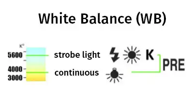 White balance