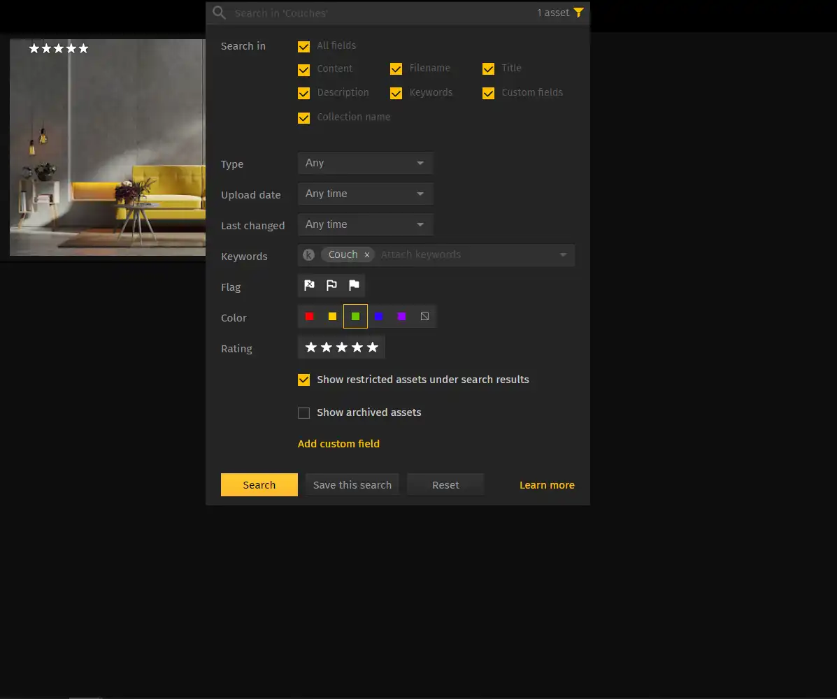 A screenshot of Pics.io's interface showing advanced search functionality. 