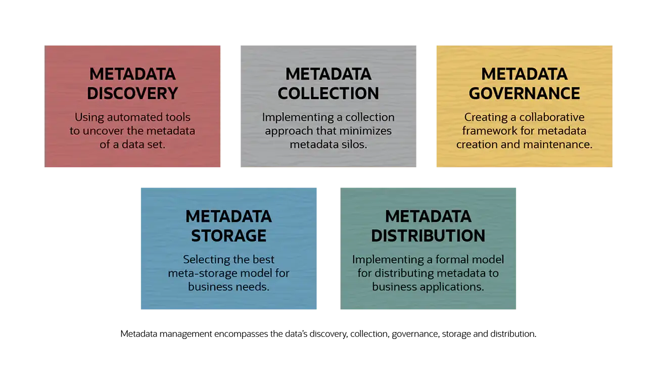 Lifecycle of metadata management