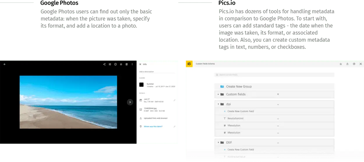 Metadata management Google Photos vs Pics.io