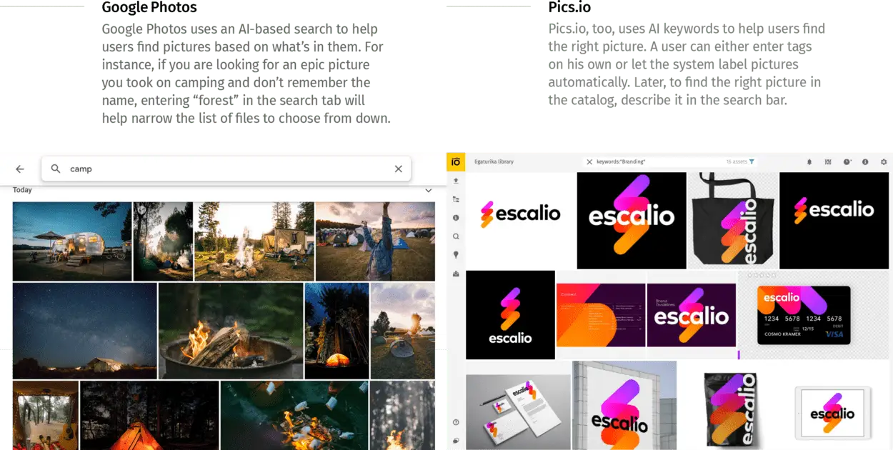 AI tagging Google Photos vs Pics.io