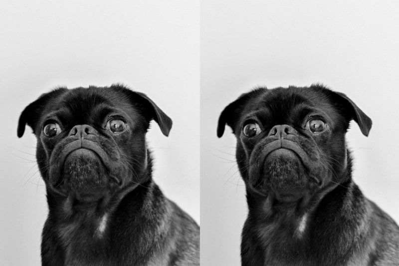 3 Best Apps for File Comparison (With Bonus Tools)