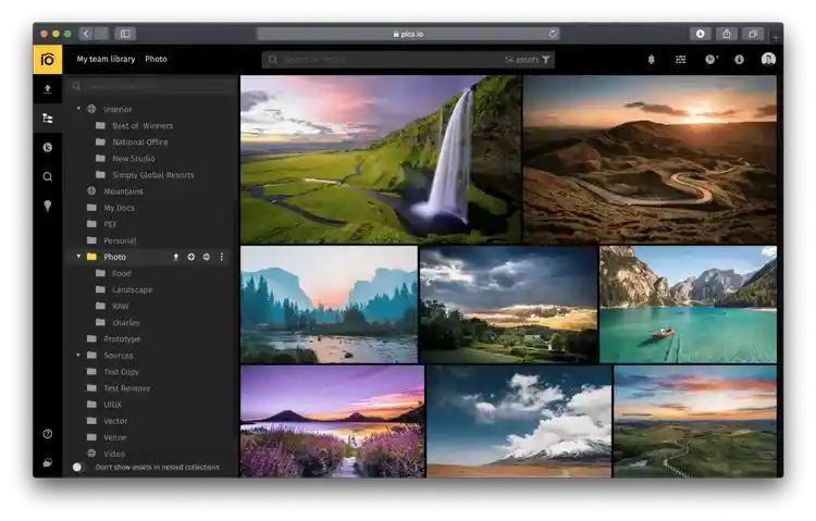 Best Digital Photo Library for Business
