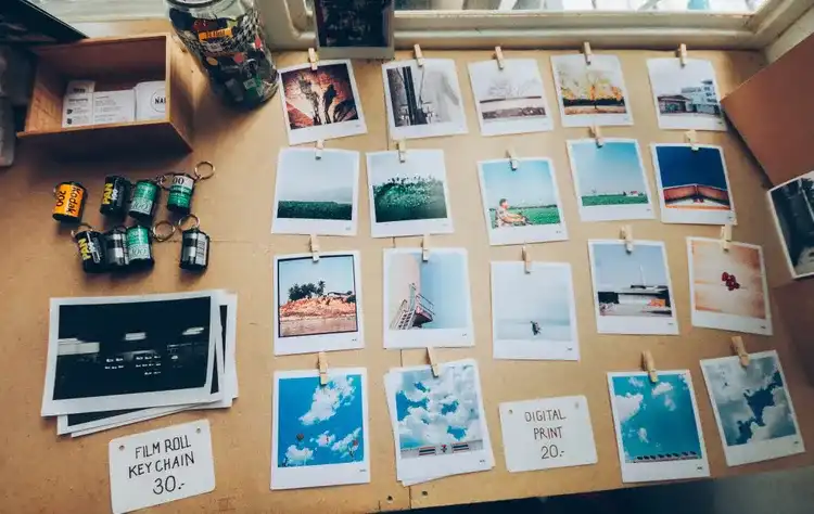 Photo Management Software: A Guide to Choose the Right One