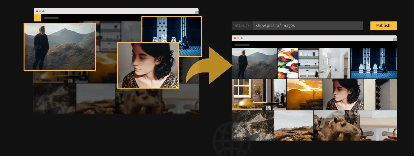 Pics.io: how to share digital assets via websites