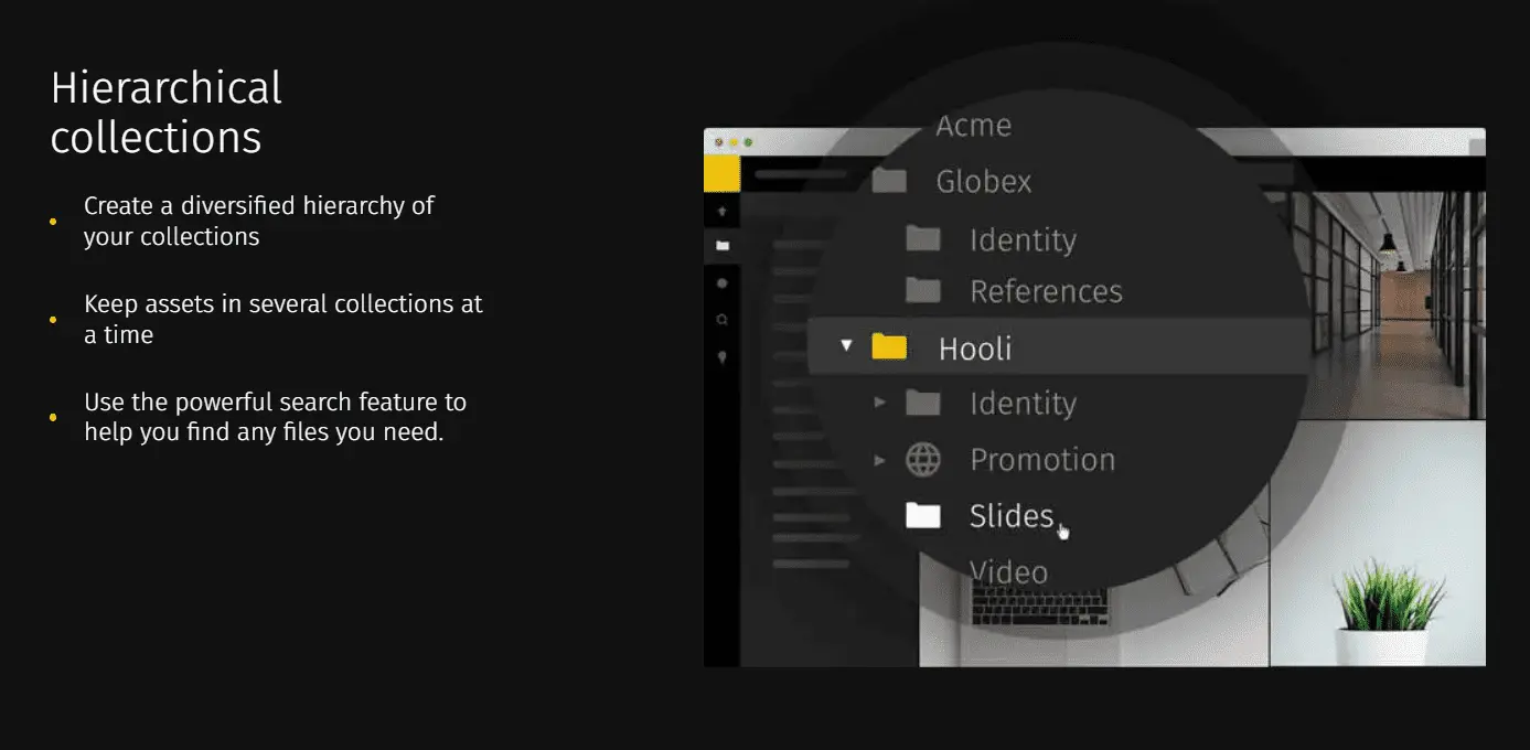 Digital asset management software: file organization