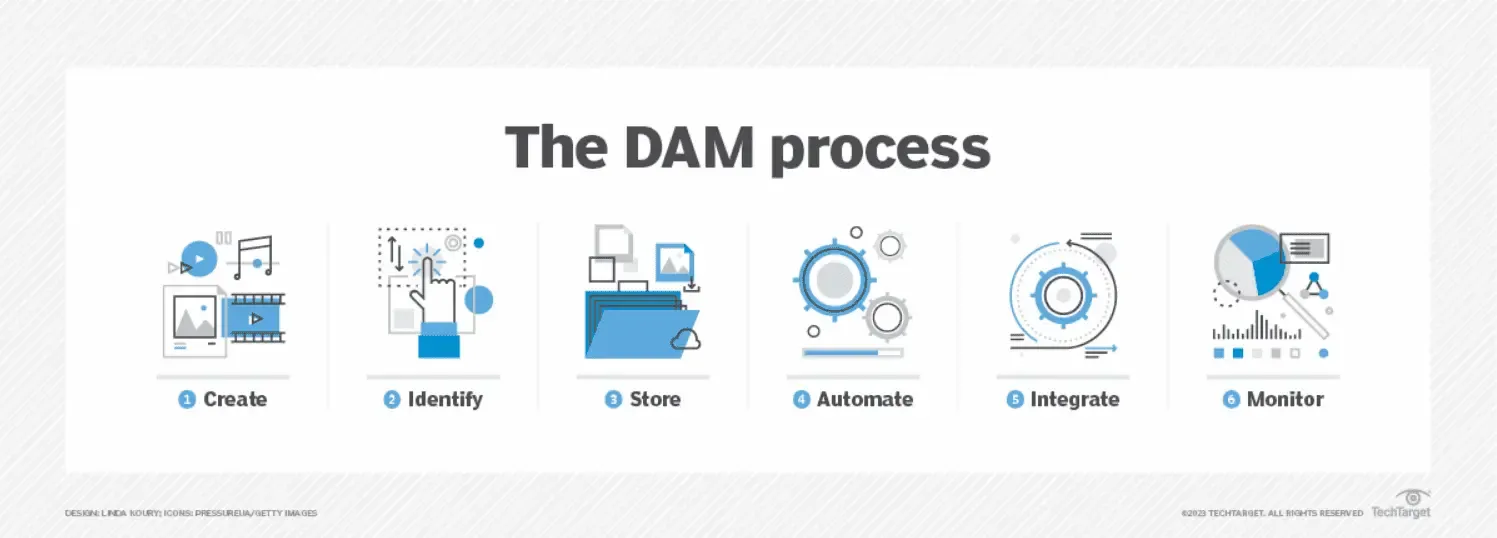 Creative asset management vs digital asset management