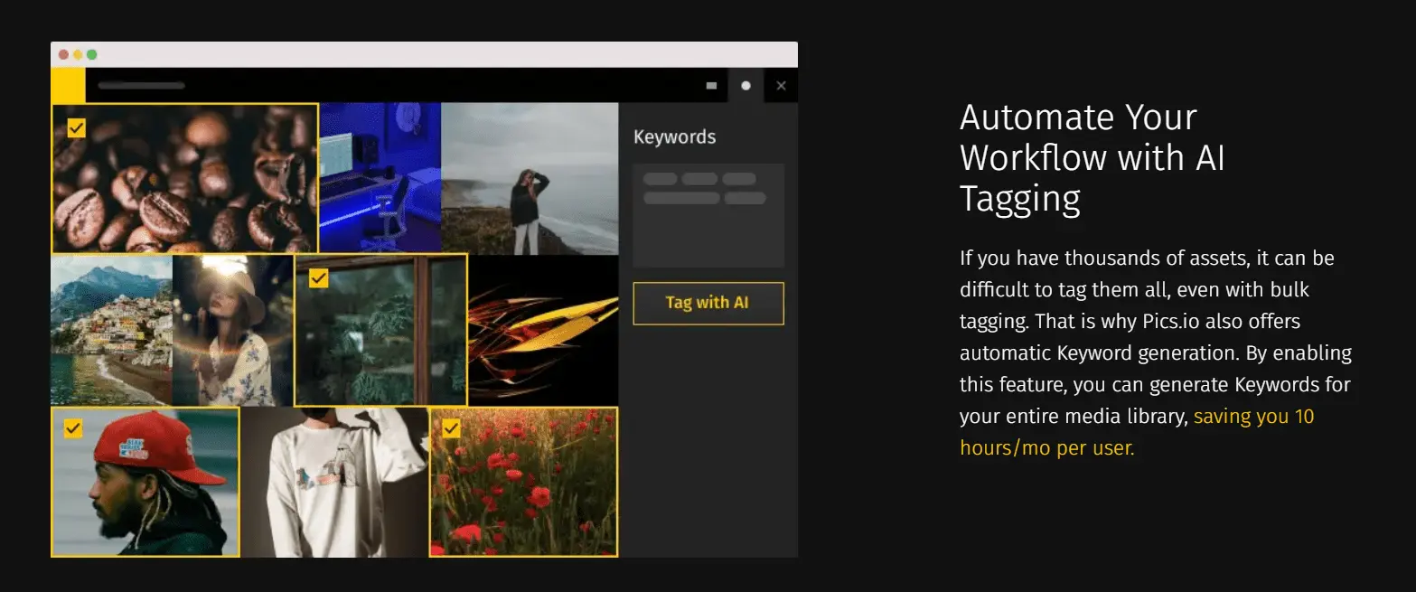 Pics.io brand asset management: AI keyword tagging