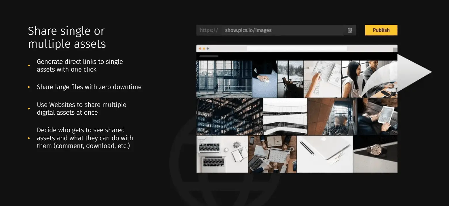 Pics.io DAM: digital assets sharing
