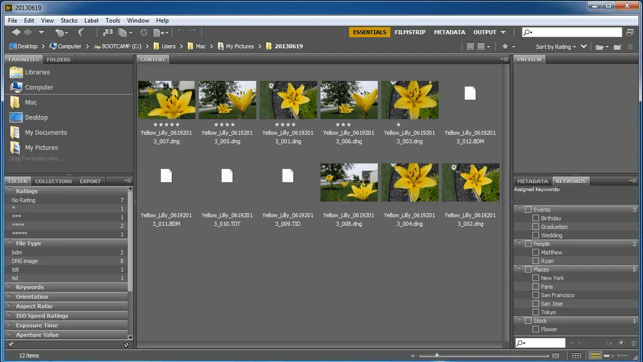 Adding metadata to photos in Adobe Bridge