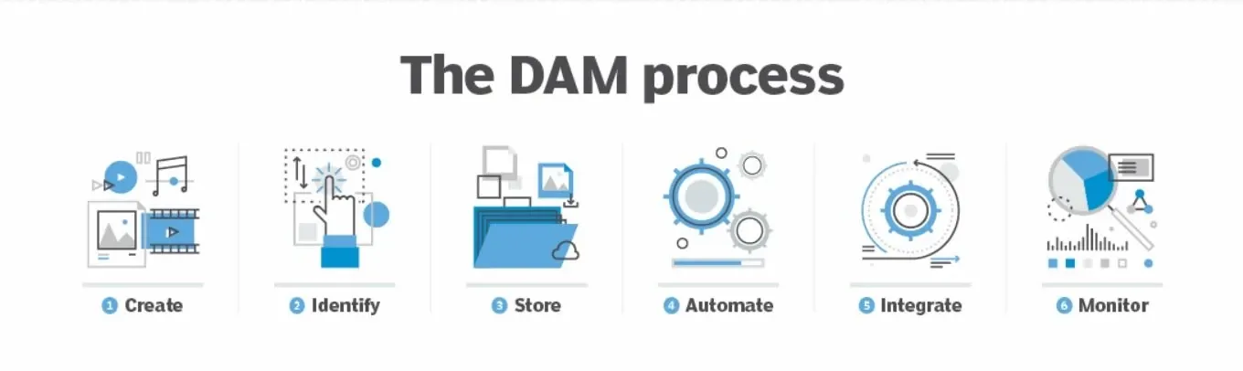 The DAM process