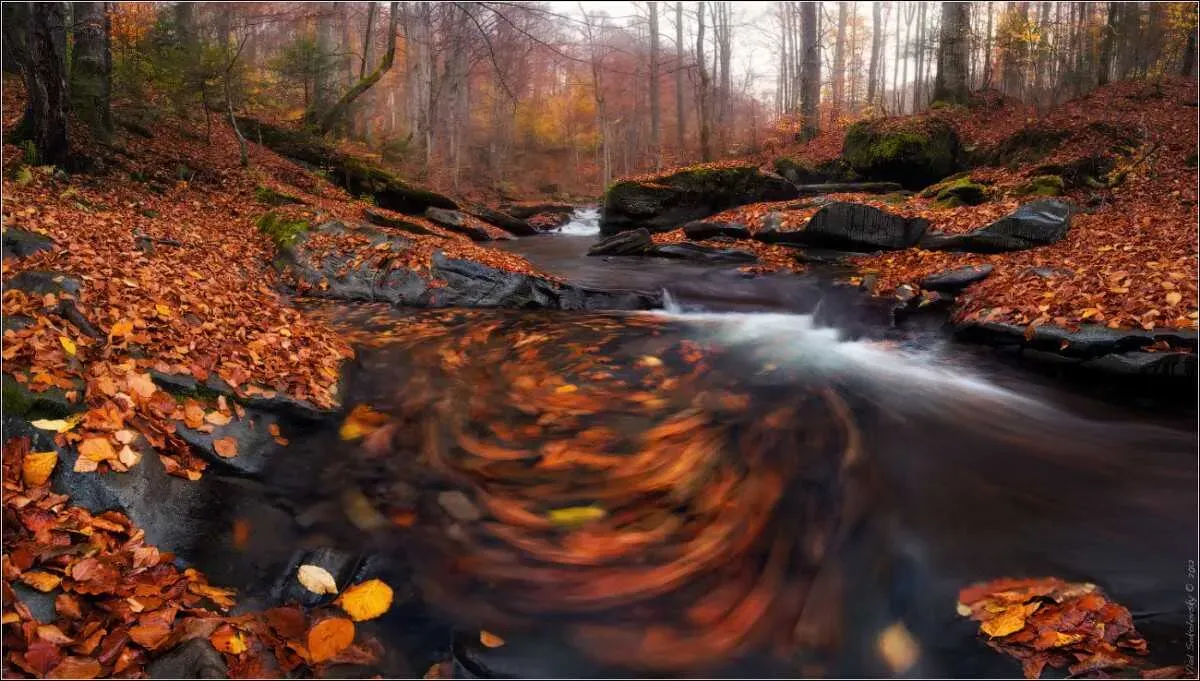 "Leaves' cycle of nature" NikonD90 + Sigma 10-20/4-5.6 + C-PLB+W; A two-range panorama. Exposure: 1/1.2 sec Diaphragm: f/14 Focus range: 13 mm